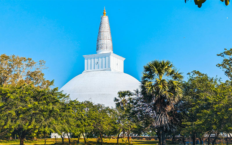 Colombo / Anuradhapura