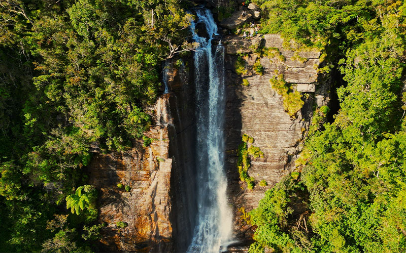 Tea Trails & Waterfalls