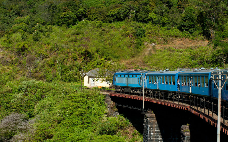 Ella Exploration & Romance