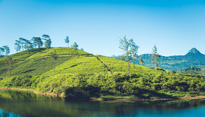 Hatton / Ella (Scenic Train Journey)