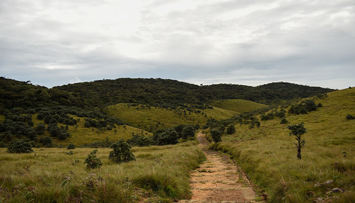 Ella / Ohiya / Horton Plains Wilderness