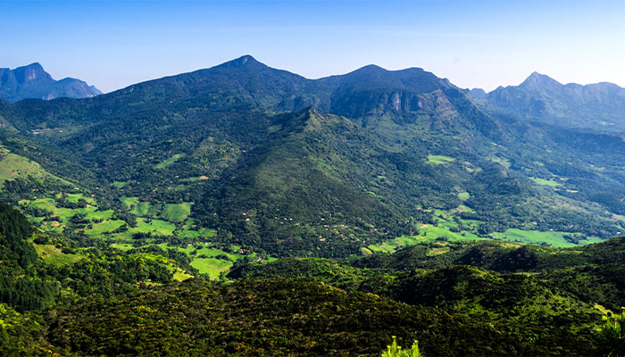 Belihuloya / Knuckles Range