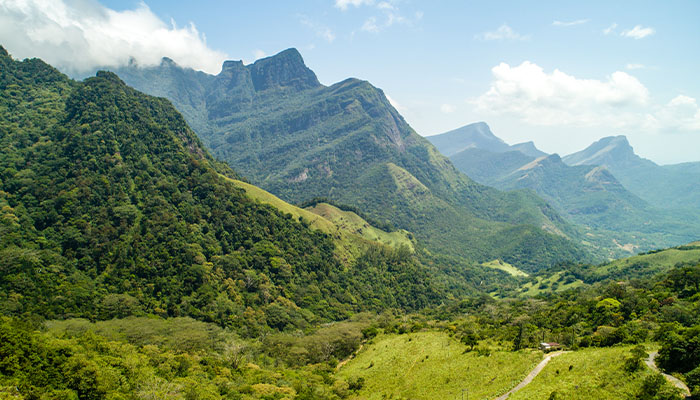 Knuckles Full-Day Trek