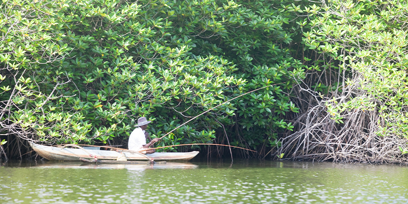Ayurveda & Madu Ganga River Safari