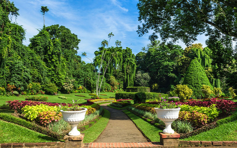 Temple of the Tooth & Botanical Gardens