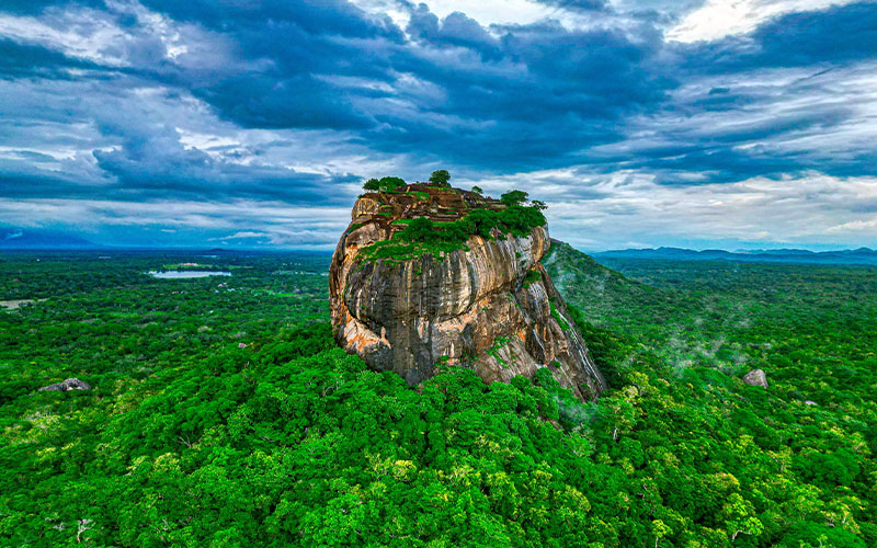 Sigiriya / Minneriya Safari