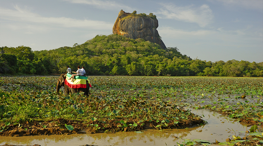 Sigiriya / Village Experience