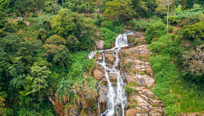 Belihuloya / Sinharaja Rainforest
