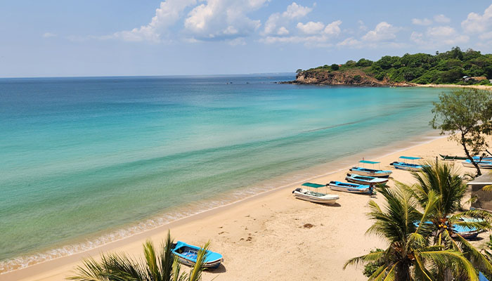 Negombo / Trincomalee